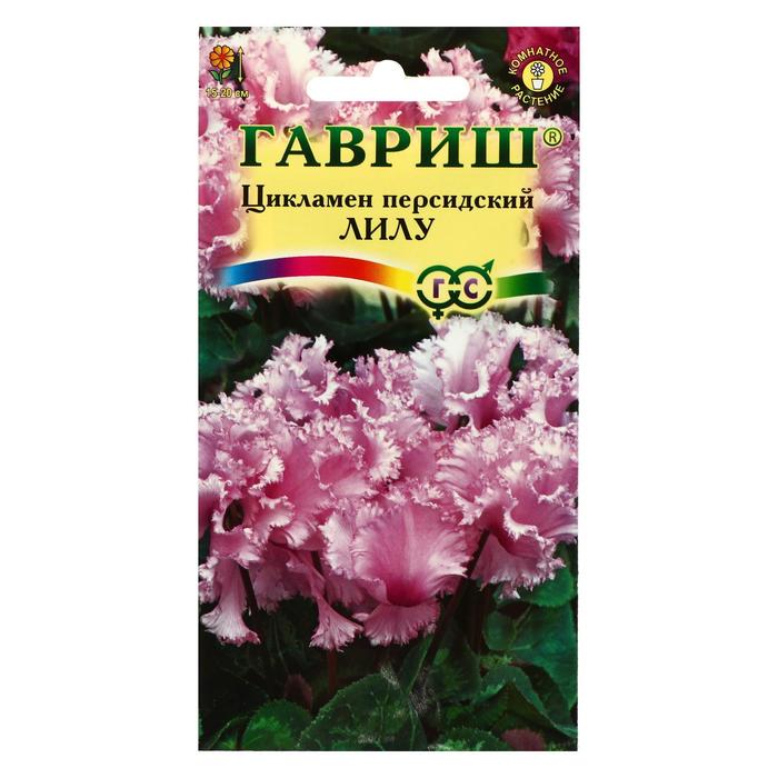 Цикламен Цветок Купить В Интернет Магазине