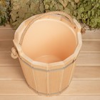 Запарник 10 л, с пластиковой вставкой, "Добрыня" - фото 797345337