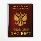 Обложка на ветеринарный паспорт «Как у хозяина» - фото 6699315