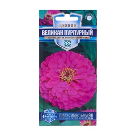 Семена цветов Цинния "Великан пурпурный", серия Русский богатырь,  0,3 г