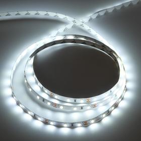 Светодиодная лента Ecola PRO, 12В, SMD2835, 5 м, IP20, 8Вт/м, 60 LED/м, 6000К