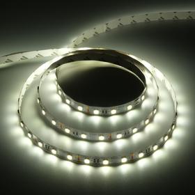 Светодиодная лента Ecola PRO, 12В, SMD5050, 3 м, IP20, 14.4Вт/м, 60 LED/м, 4200К
