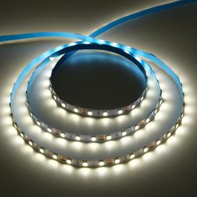 Светодиодная лента Ecola PRO, 12В, SMD5050, 5 м, IP20, 14.4Вт/м, 60 LED/м, 4200К