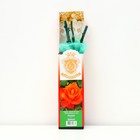 Саженец розы "Дамсел", 1 шт, туба, Весна 2023 - фото 7891616