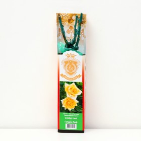 Саженец розы "Голден Лиф", 1 шт, туба, Весна 2023