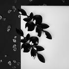 Серьги со стразами "Карнавал" лепестки, цвет чёрный - фото 3276801