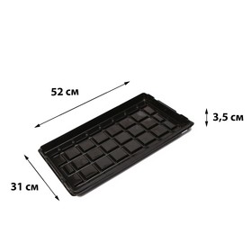 Поддон для рассады, 52 × 31 × 3,5 см (2 шт)