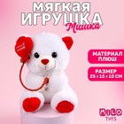 Мягкая игрушка «Самой милой», мишка, 18 см 5244298 - фото 7539364