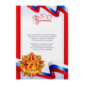 Грамота "23 февраля", РФ символика, с текстом, 21х29,7 см в Донецке