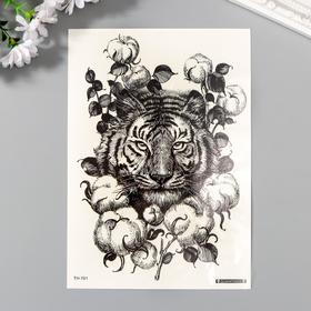 Татуировка на тело чёрная "Тигр и хлопок" 21х15 см