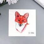 Body tattoo color " Fox " 6x6 cm