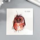 Tattoo on the body color "Little owl" 6x6 cm