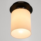 Светильник 91310/1 E27 40Вт венге-хром 12х12х17 см - фото 2908724