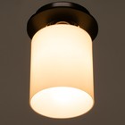 Светильник 91310/1 E27 40Вт венге-хром 12х12х17 см - фото 2908725