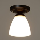 Светильник 91312/1 E27 40Вт венге 12х12х18 см - фото 2908731