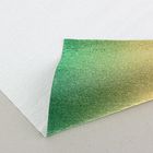 Бумага гофрированная, 801/2 "Золотисто-зелёный металл", 0,5 х 2,5 м