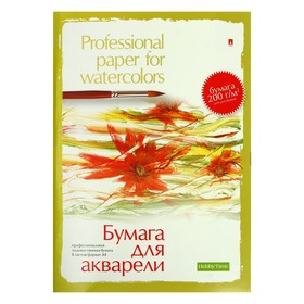 Папка для акварели А4, 8 листов "Профессиональная серия", блок 190 г/м2, МИКС