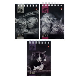 Блокнот А7, 40 листов на гребне "Кошачий Взгляд", обложка мелованный картон, МИКС
