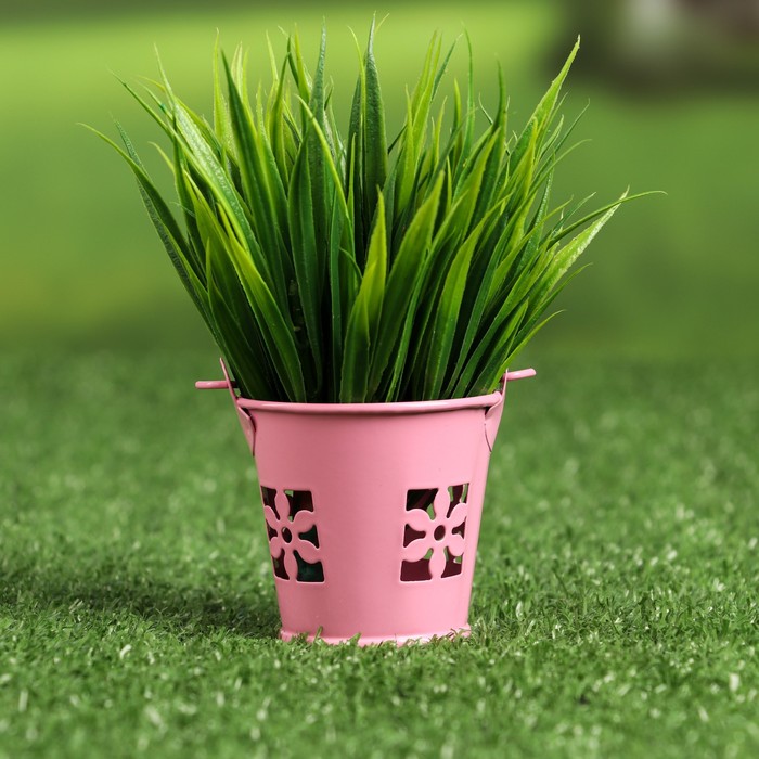 Вербена,колеус. Кашпо микс. Кашпо микс. Кашпо микс. Кашпо микс.