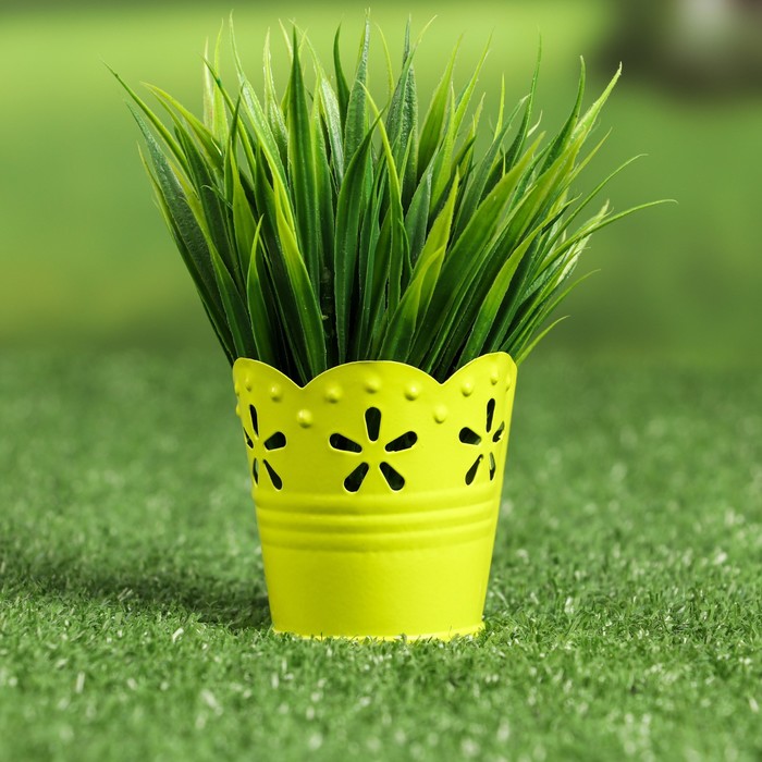 Кашпо микс. Вербена и алиссум в кашпо. Оби гиацинты в горшке. Калибрахоа с лобелией в кашпо. Вербена и колеус.