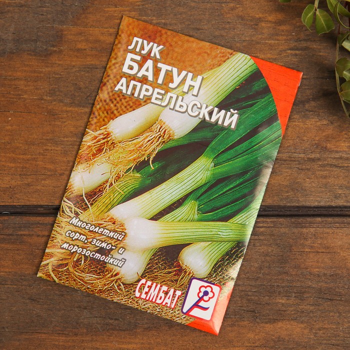 Купить Семена И Луковицы Интернет Магазин Купить Семена И Луковицы Интернет Магазин