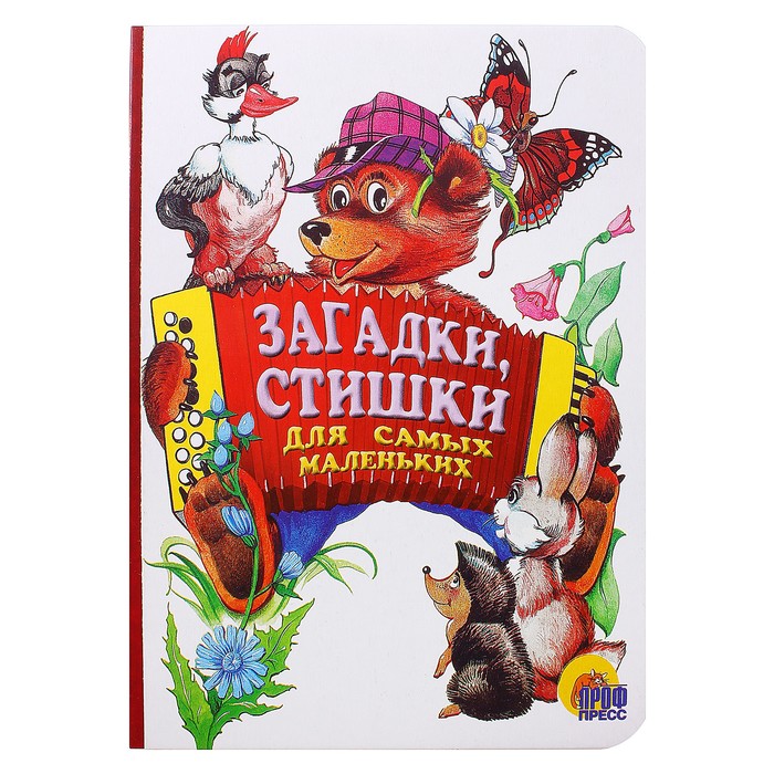 Книга загадок картинки