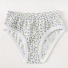 Трусы для девочки, цвет микс, рост 122 см - фото 797407688