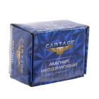 Магнит неодимовый Cartage с крючком для авто, d:36 мм. сцепление 18 кг 5180113 Магнит неодимовый Cartage с крючком для авто, d:36 мм. сцепление 18 кг 5180113