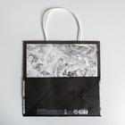 Пакет крафтовый Dreams, 22 × 22 × 11 см - фото 797412658