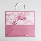 Пакет крафтовый «Dreams», 26 × 30 × 11,5 см 4783325