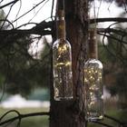 Гирлянда «Нить» 1 м роса с пробкой, IP20, серебристая нить, 10 LED, свечение тёплое белое, LR44х3 5189852