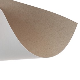Картон белый А4, 24 листа "Панда", односторонний, немелованный, 200 г/м2, в пакете