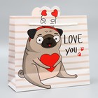 Пакет подарочный «Love you», 25 × 26 × 10 см 5266625