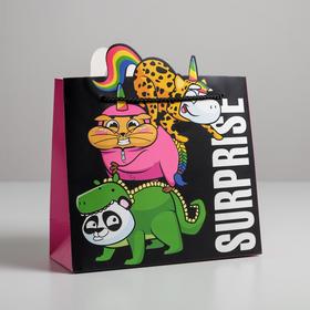 Пакет подарочный Surpprise, 25 × 26 × 10 см
