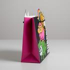 Пакет подарочный «Surpprise», 25 × 26 × 10 см 5266626