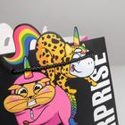 Пакет подарочный «Surpprise», 25 × 26 × 10 см 5266626
