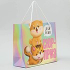 Пакет подарочный «Сюрприз», 25 × 26 × 10 см 5266627