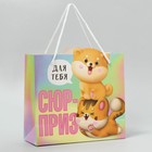 Пакет подарочный «Сюрприз», 25 × 26 × 10 см 5266627