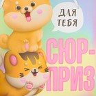 Пакет подарочный «Сюрприз», 25 × 26 × 10 см 5266627