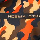 Термосумка "Новых открытий",  29х23х10 см, 6,5 л - фото 797443870