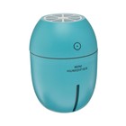 Air humidifier LHU-09, ultrasonic, 180 ml, 2 W, portable, USB, MIX