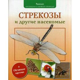 Стрекозы и другие насекомые (с обучающими карточками и раскрасками)