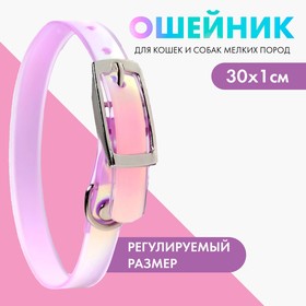 Ошейник для собак и кошек с фастексом «Неон», 30 х 1 см, цвет МИКС