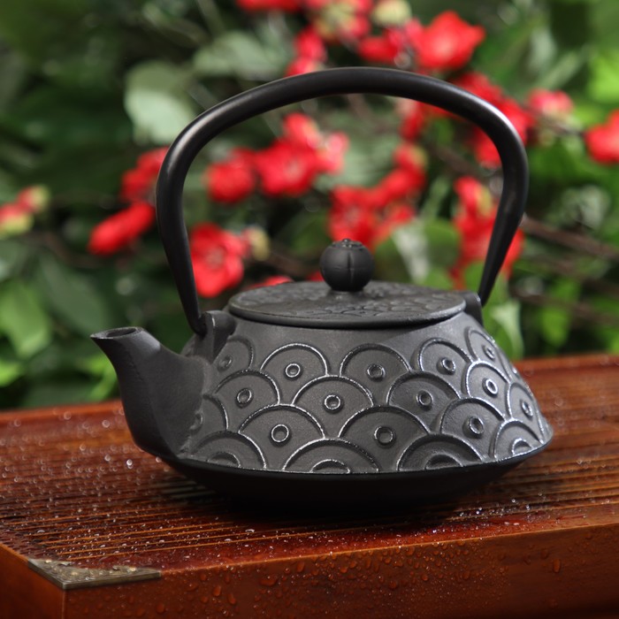 Teapot with strainer 900ml Jana black