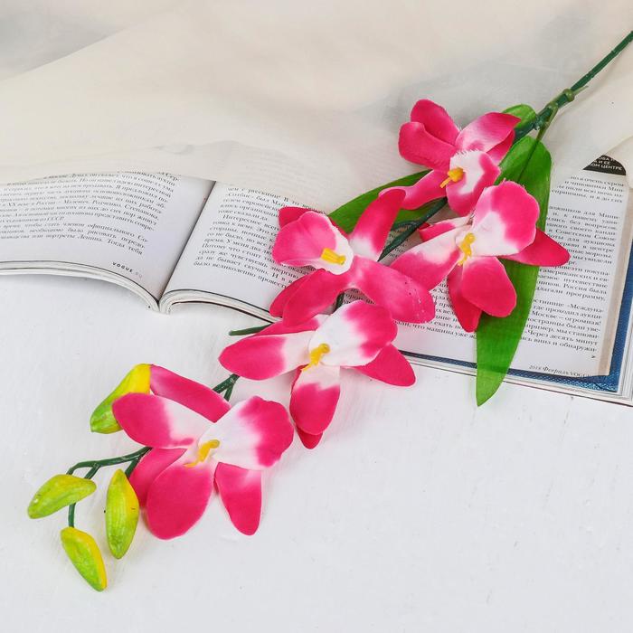 Цветы искусственные "Орхидея Гуарианте" 70 см, розовый - фото 248457