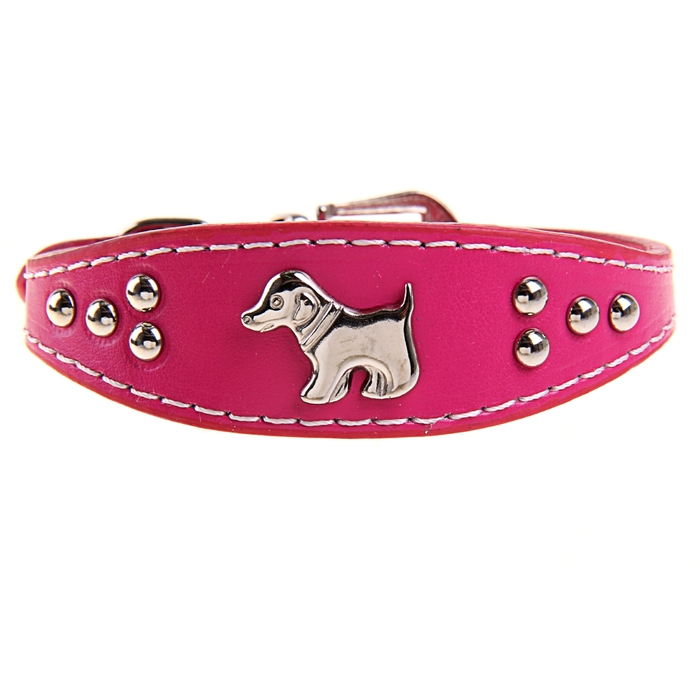 доггер селедка ошейник. ошейник селедка. кожаный ошейник для таксы. ошейник кожаный селедка 28 см. ошейник селедка ферпласт.