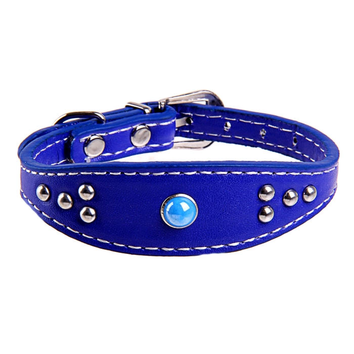 кожаный ошейник для таксы. ошейник селедка. наша рр ошейник 45 двухслойный. ошейник селедка. ошейник селёдка для таксы.