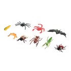Set animals insects Nature, MIX