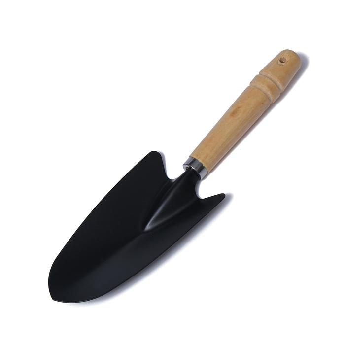 Landing scoop, length 27 cm, width 7 cm, wooden handle. 