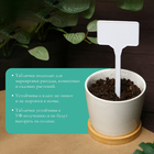 Таблички садовые для маркировки, 15 см, набор 10 шт., пластик, белые, Greengo 150878